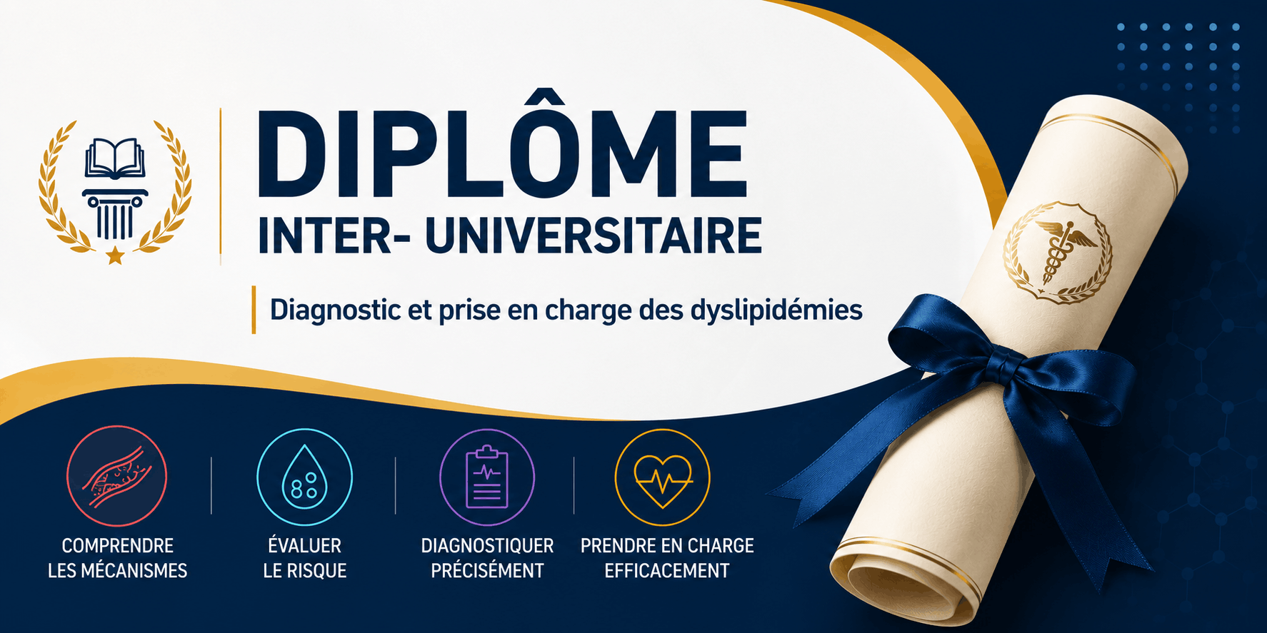 DIU Lyon